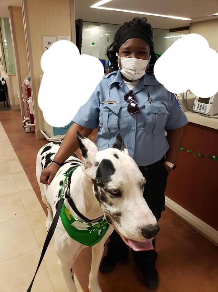 Este es Chance. Es un cachorro de terapia. Viene al hospital a veces cuando la vida es dura. ¡Ha conquistado mi corazón! Yo mido 1,80 m. Tiene 65 kilos de amor y dulzura.