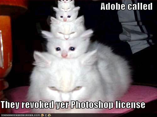 funny-pictures-adobe-photoshop-license-revoked-610bf2f56e31d.jpg