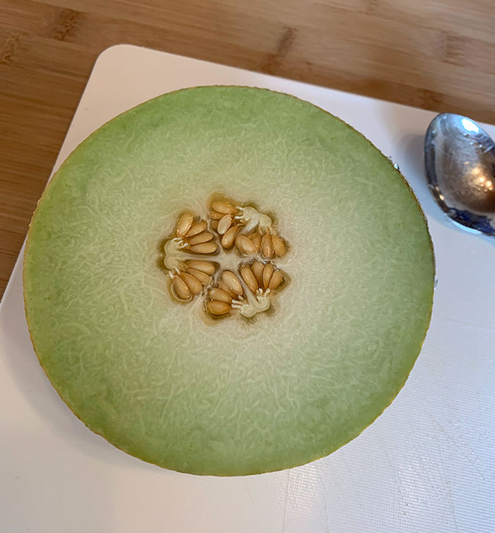 The Symmetry Of This Honeydew Melon’s Inside