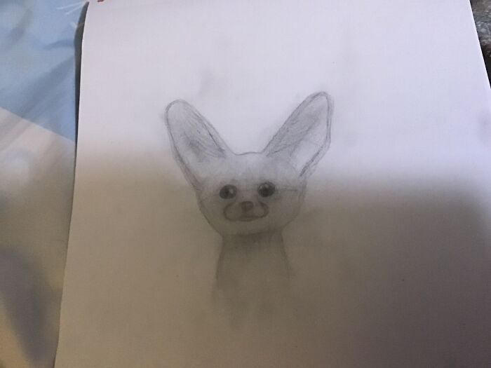 This Isn’t My Best, But It’s A Fennec Fox.