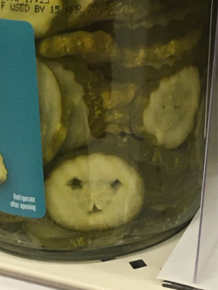 A Friend Hiding Amongst The Pickles