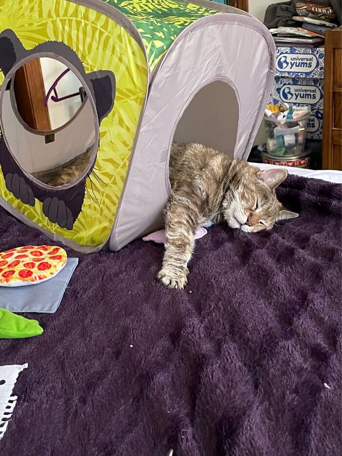 Pim Loves Her Tent!