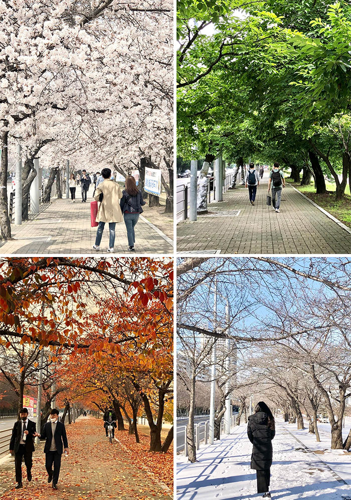 Took These In The Same Spot Over The Past Year. Korea’s Four Seasons: Yeouido