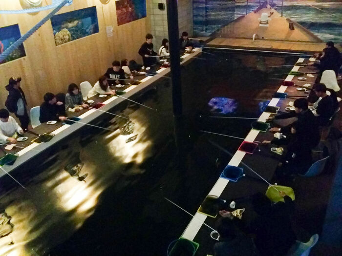I Found A Bar Where You Can Do Indoor Fishing In South Korea