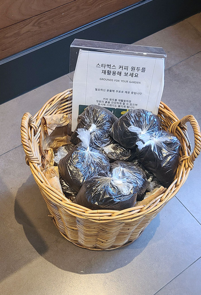 Starbucks In Seoul Offering Used Coffee Grounds For Gardening