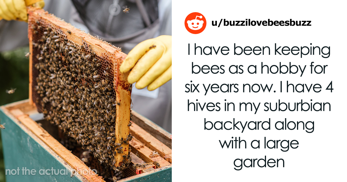 Neighbors Stand Up Against Beekeeper After They Refuse To Give Up Their Hobby For A Neighbor’s Allergic Kid’s Sake
