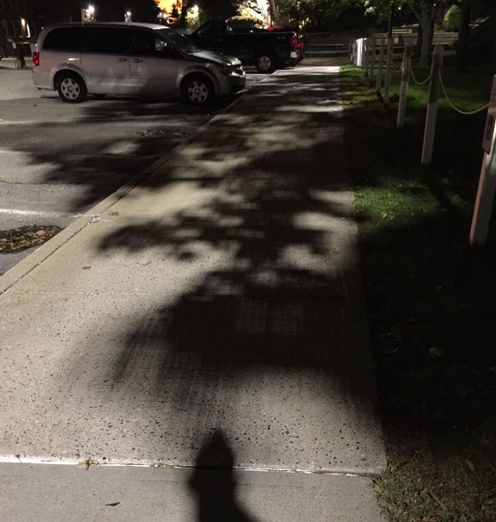 The Grid Patterned LED Street Lamps Makes The Leaves' Shadow Look Like It Was Rendered On Low Settings