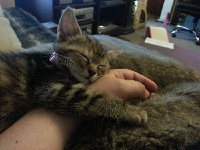 Pixel The First Day I Got Her. The Beginning Of A Beautiful Friendship.