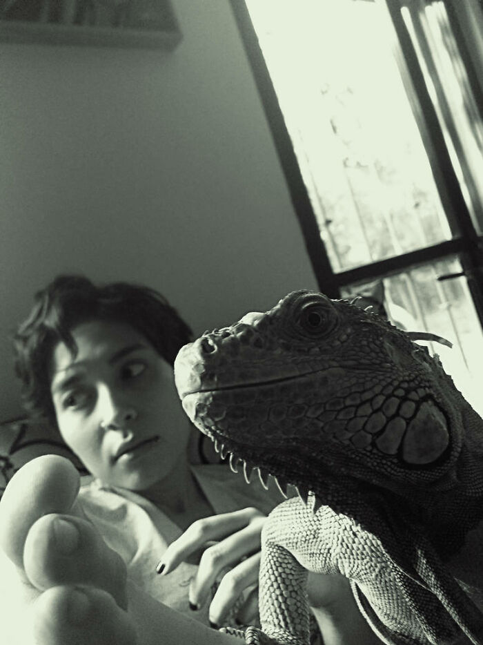 Self Portrait With Iguana