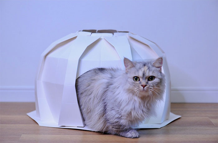 Origami-Inspired Pet Houses That Will Give Your Furry Friend A Stylish Abode Created By These Japanese Designers