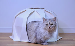 Designers Create Elegant Houses For Your Pets Inspired By Japanese Origami