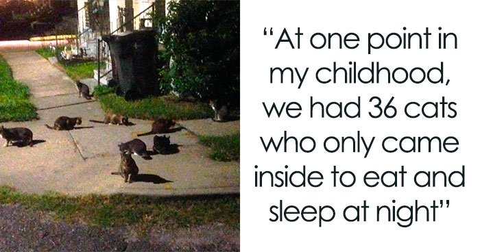 People Are Sharing Their Weird Family Things That They Only Realized Were Not Normal Later In Life (35 Answers)