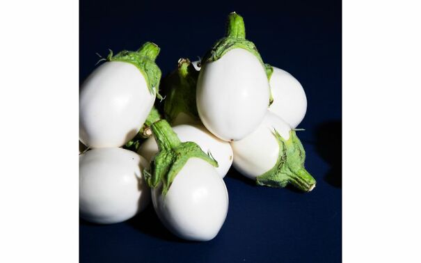 white-eggplantgallery-61140cc4c7312.jpg