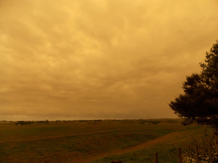 A Silent Scream - 2:30pm Jan 4th 2020 - Australian Bush Fires Darken The Sky In New Zealand, And The Birds Fall Silent