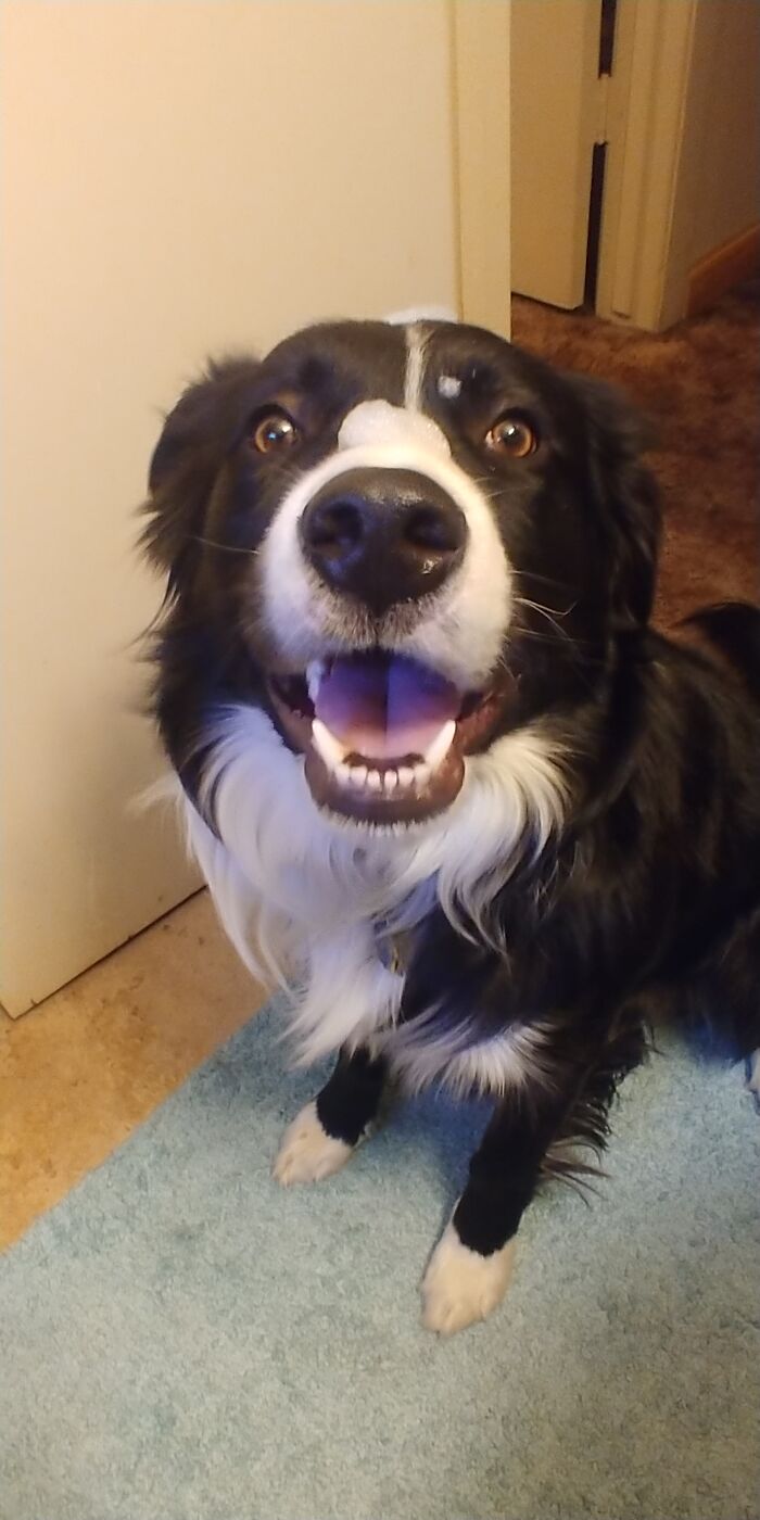 Bubbles On His Nose!