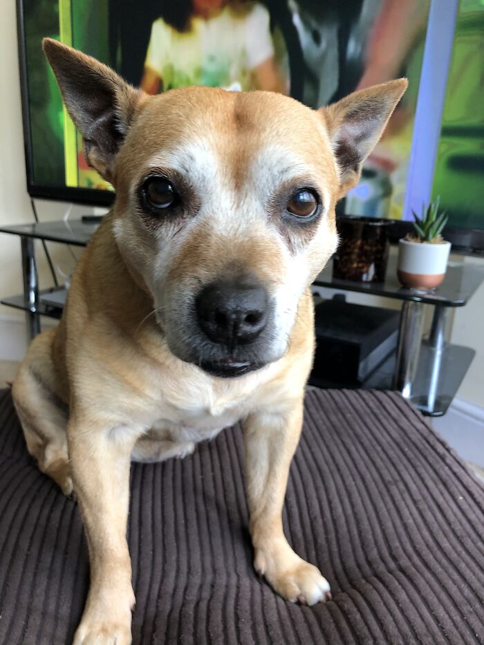 My Little Lady - 14 Yrs Old And Still Full Of Sass!