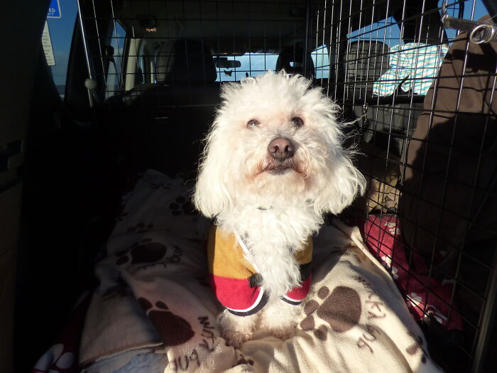 Hes Ready For A Walk On The Beach!
