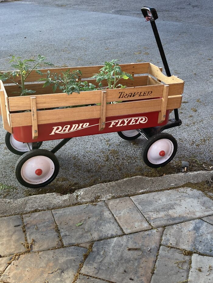 My “Alternative” Vehicle When I Was Without A Car