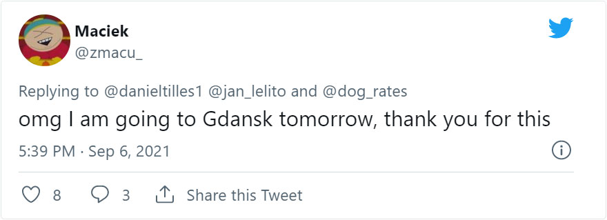 Golden Retriever Hanging Out On Its Balcony Became The Most Popular Tourist Attraction In Gdansk