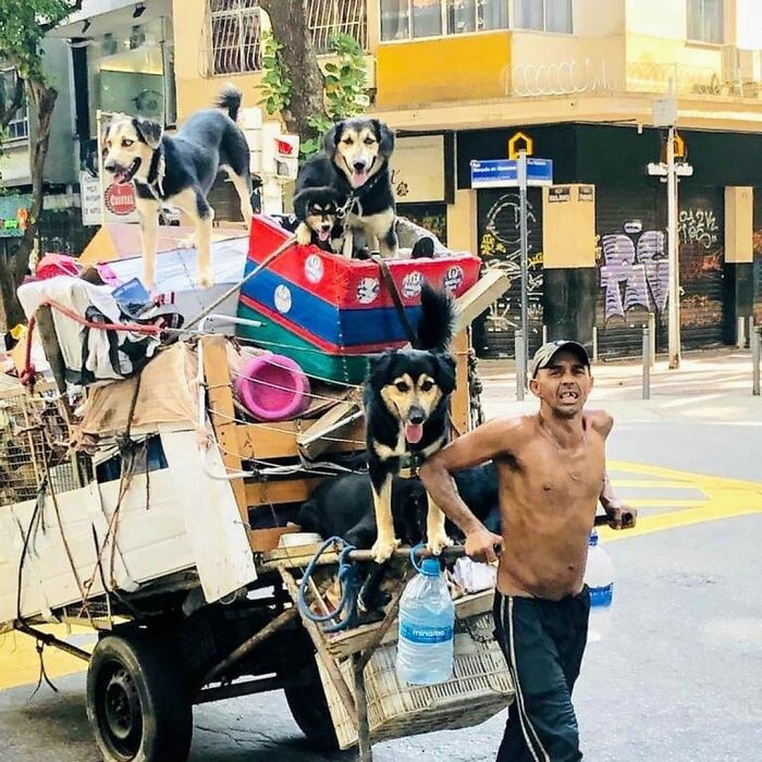 Account On Instagram Shows The Friendship Between Brazilian Homeless People And Their Dogs (183 Pics)