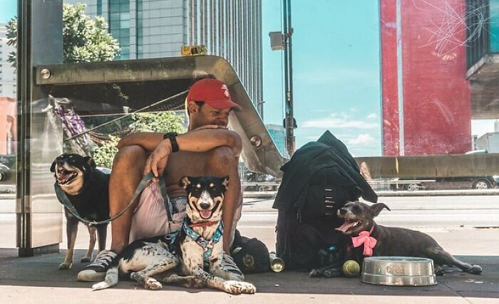 Account On Instagram Shows The Friendship Between Brazilian Homeless People And Their Dogs (183 Pics)