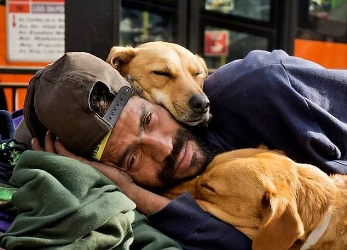 Account On Instagram Shows The Friendship Between Brazilian Homeless People And Their Dogs (183 Pics)