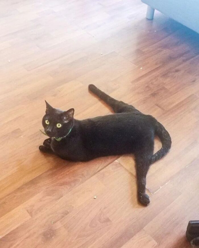 This Facebook Page Is All About Animal Images That Need To Be Seen (50 New Pics)