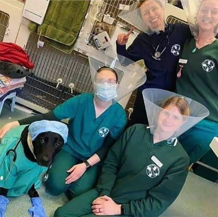 Important-Animals-Funny-Images