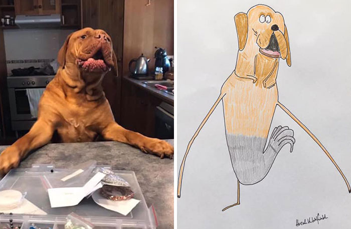 30 Animal Portraits Drawn So Badly, They Look Like Masterpieces
