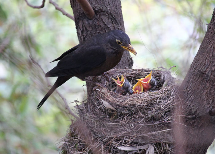 25 Cosas que la gente aprendió vergonzosamente tarde en la vida