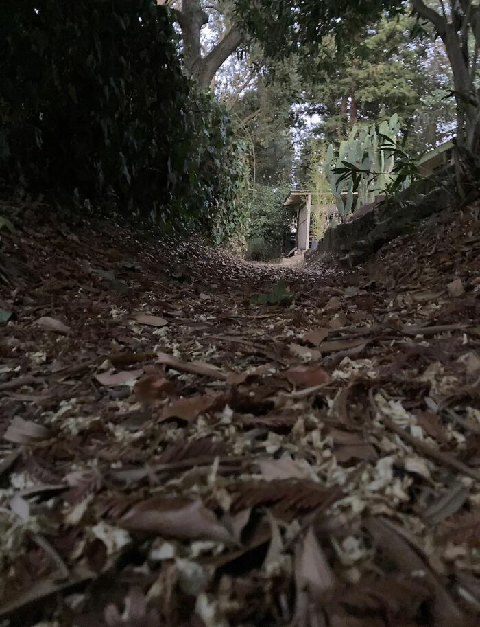 Not Rlly Weird But Weird In Its Own Way. This Is The Creek Near My House