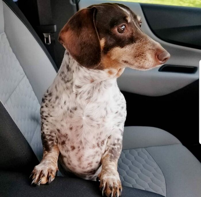 Morgan! One Her Way To Get Some Donuts.