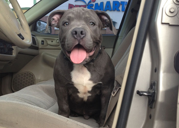 29 Of The Weirdest And Wildest Things Seen By Food Delivery Drivers On The Job