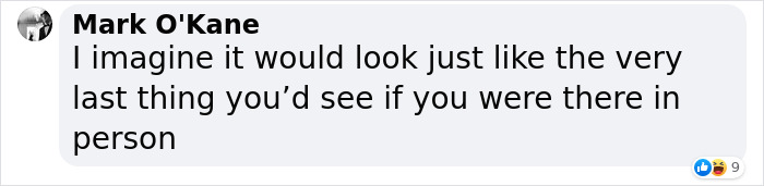 "Hands Down The Craziest Thing I've Ever Found!": Hunter Finds Lost Camera Filled With Footage Shot By A Bear