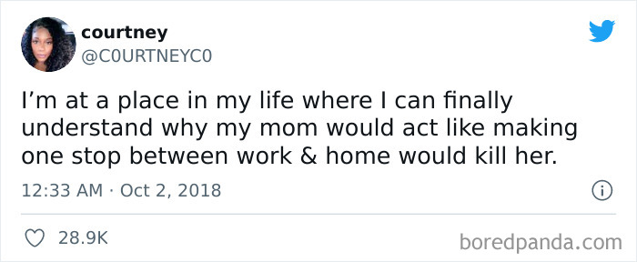 Tweet about understanding adult life humorously.