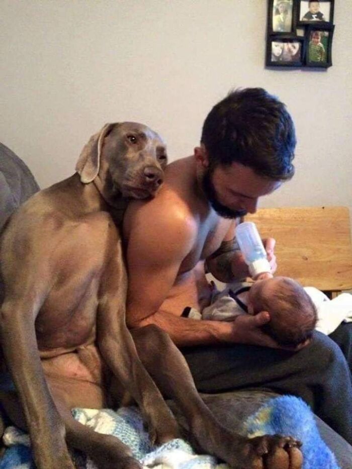 This Facebook Page Is All About Animal Images That Need To Be Seen (50 New Pics)