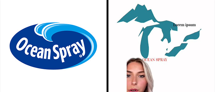 Funny-Logo-Redesign-Tiktok-Emily-Zugay