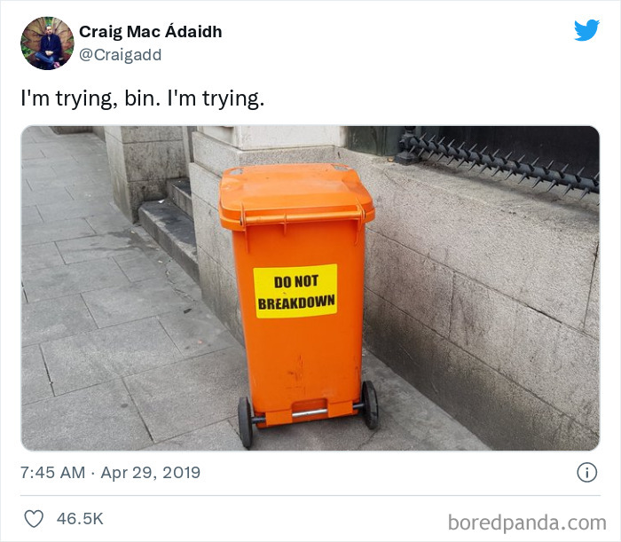 Orange bin with "DO NOT BREAKDOWN" sign on a city sidewalk, creating a funny adult meme moment.