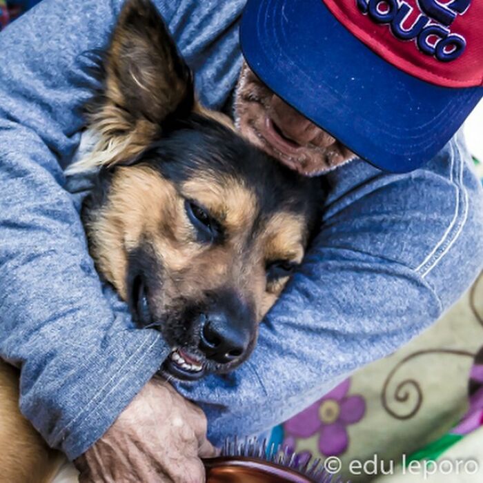 Account On Instagram Shows The Friendship Between Brazilian Homeless People And Their Dogs (183 Pics)