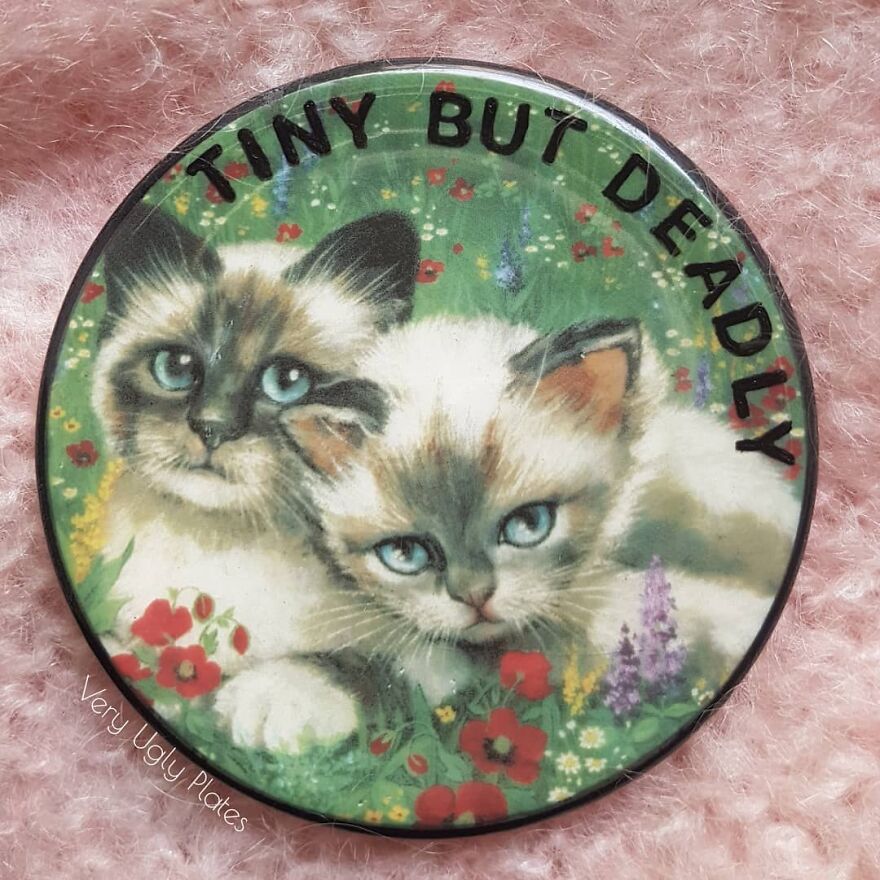 My 50 'Very Ugly Plates' With Dark Humor Captions