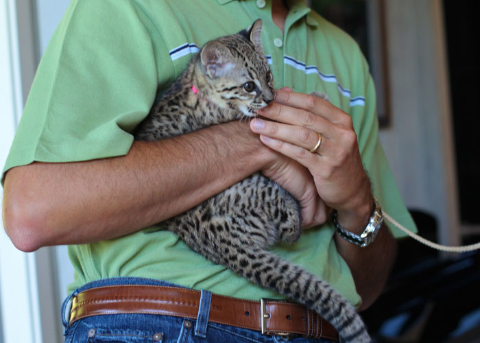 29 Of The Weirdest And Wildest Things Seen By Food Delivery Drivers On The Job