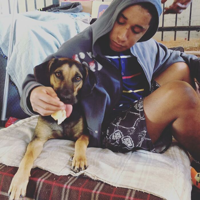 Account On Instagram Shows The Friendship Between Brazilian Homeless People And Their Dogs (183 Pics)