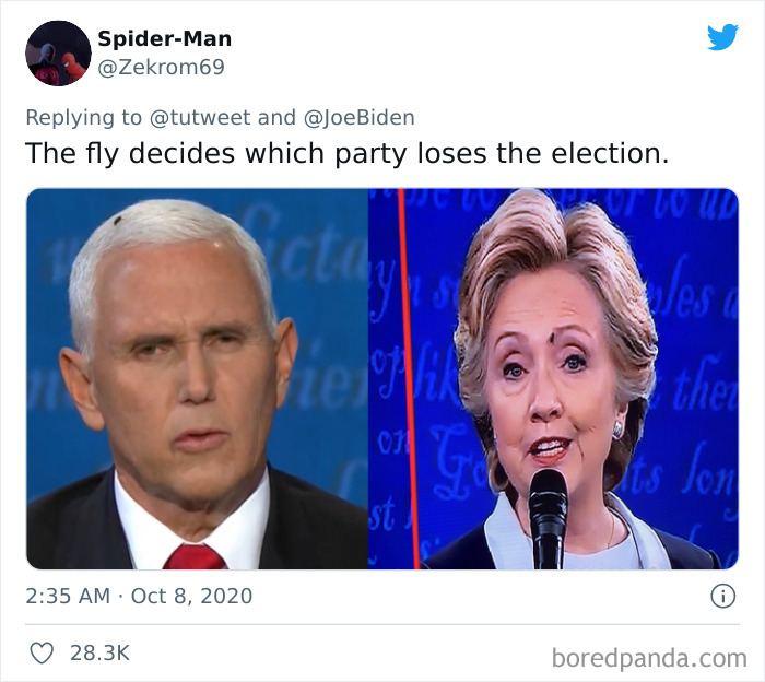 Be On The Lookout For The Fly In Another 4 Years