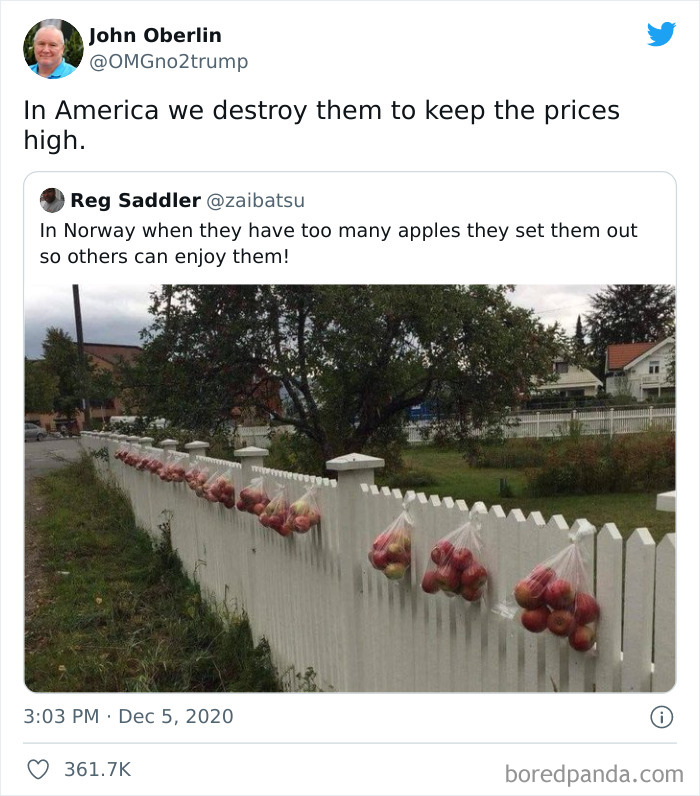 Twitter post showing bags of apples hung on a fence, illustrating a funny take on anti-consumption and sharing culture.