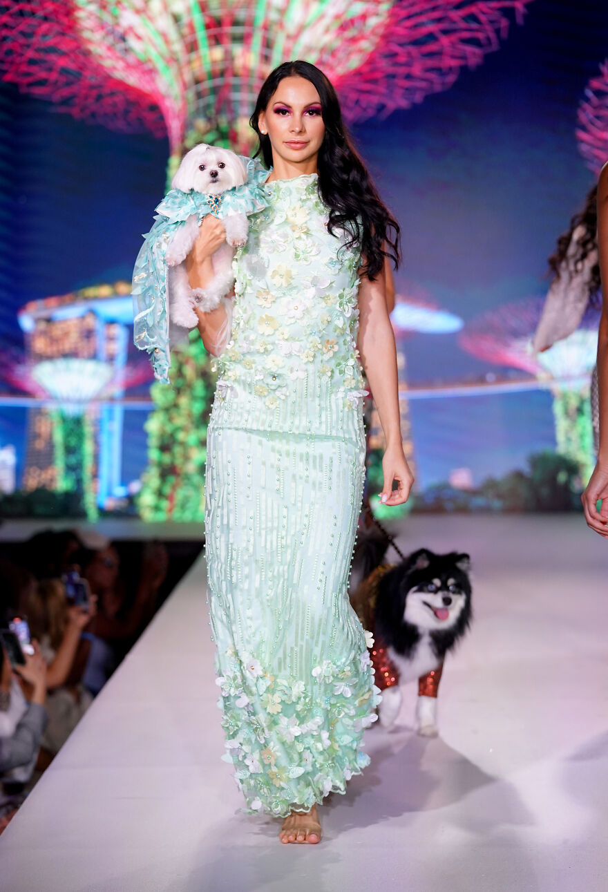 Canines In Haute Couture During New York Fashion Week