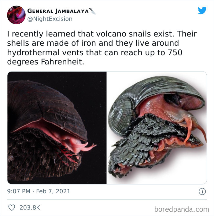 Who's That Pokémon?