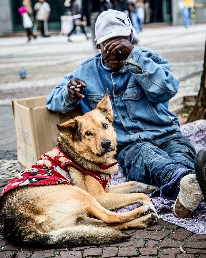 Account On Instagram Shows The Friendship Between Brazilian Homeless People And Their Dogs (183 Pics)