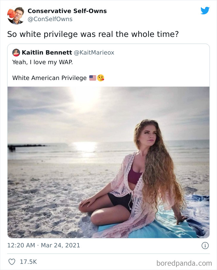 Conservative-Self-Owns-Fails