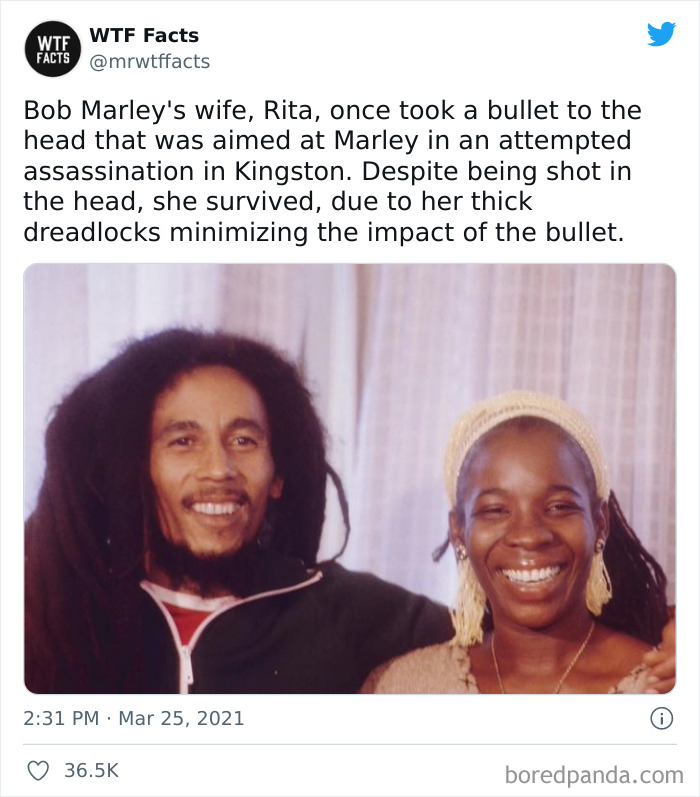 Daily-Weird-Interesting-Facts