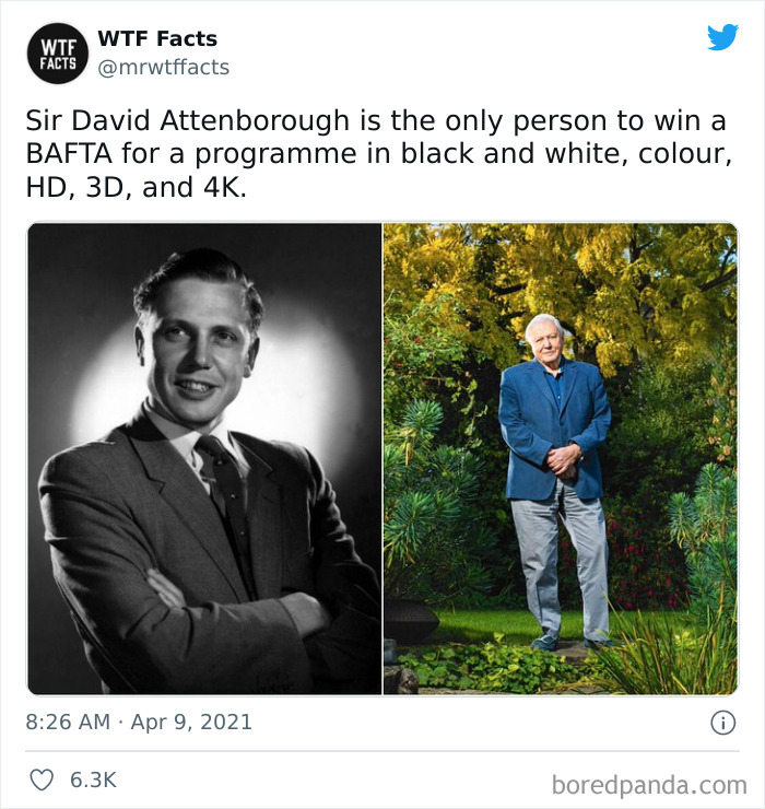 Daily-Weird-Interesting-Facts